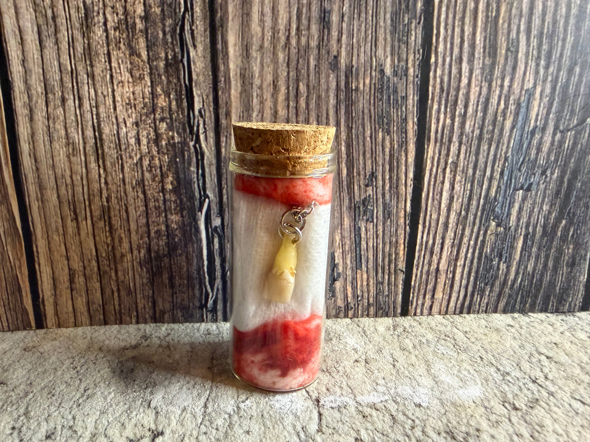 Human Tooth Necklace