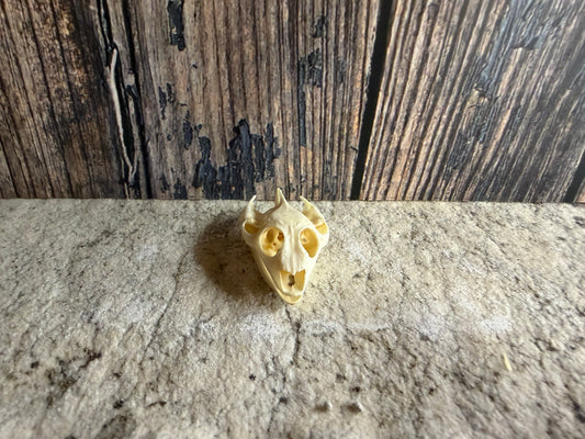 Turtle Skull (Sm)