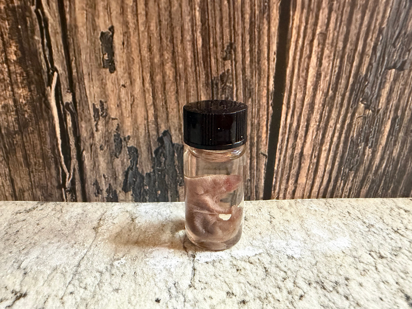 Pinky Mouse Wet Specimen Vial