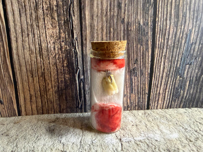Human Tooth Necklace