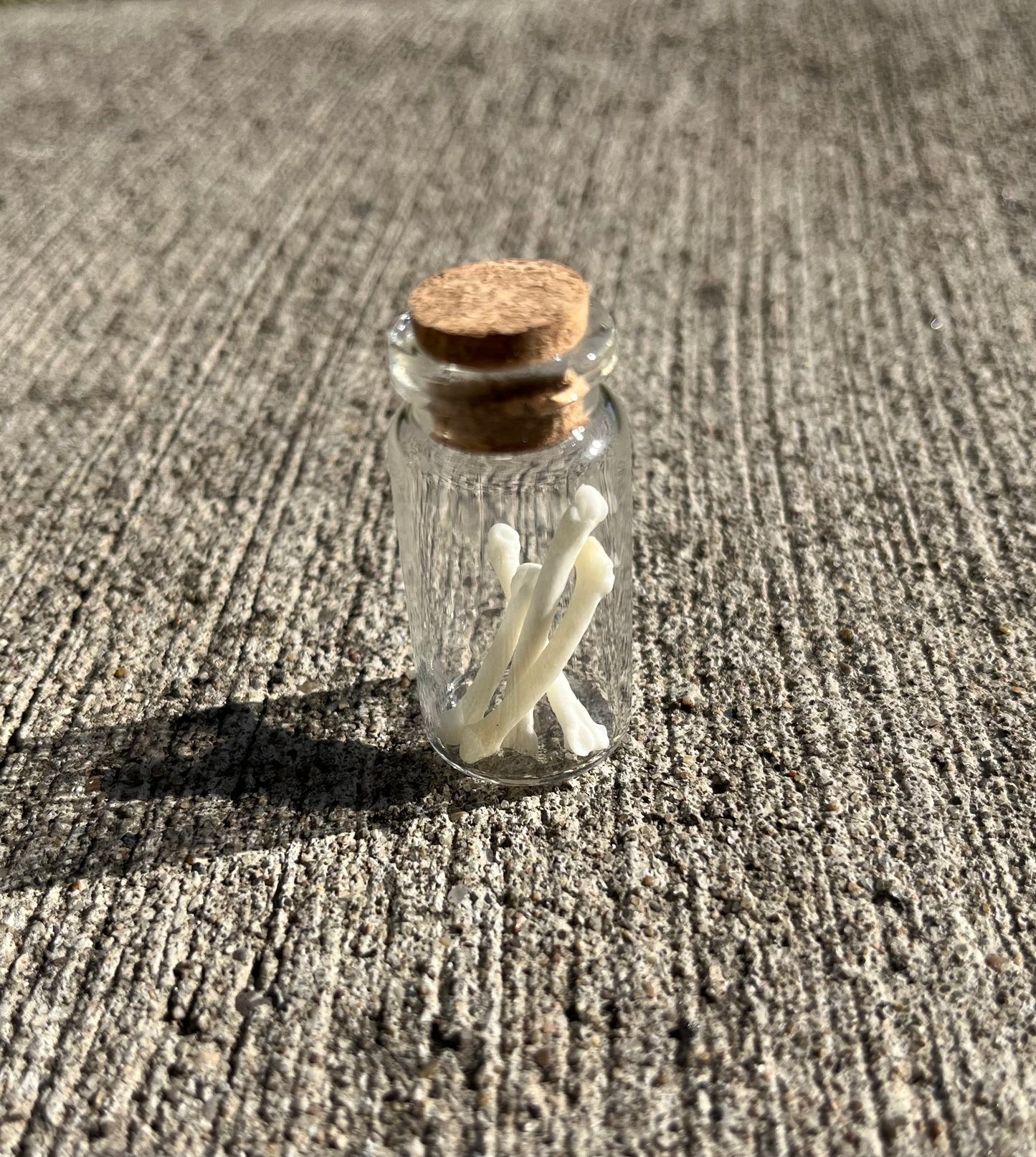 Paw Bones Curio Vial