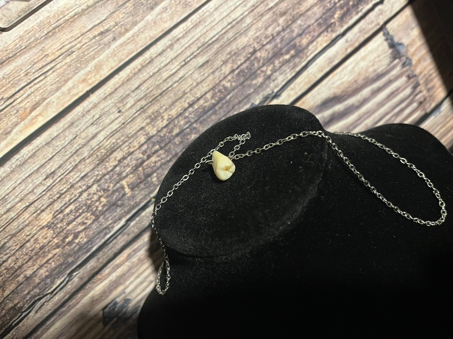 Deciduous Human Tooth Necklace (Baby Tooth)