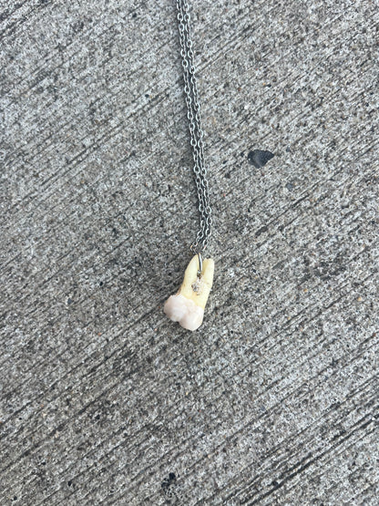 Human Tooth Necklace (#3)