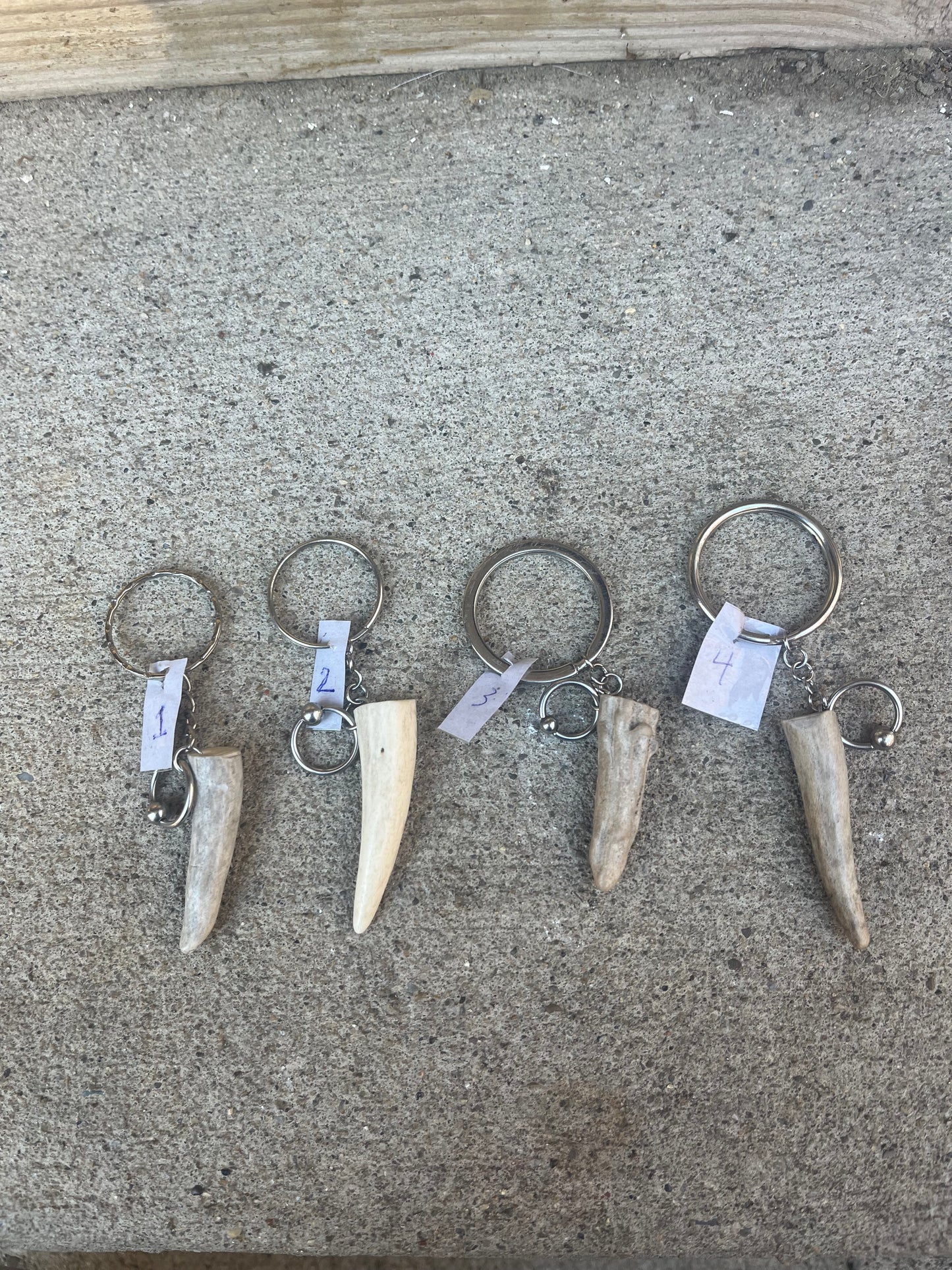 Deer Antler Keychain (14G CBR)