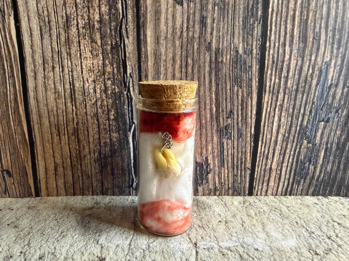 Human Tooth Necklace