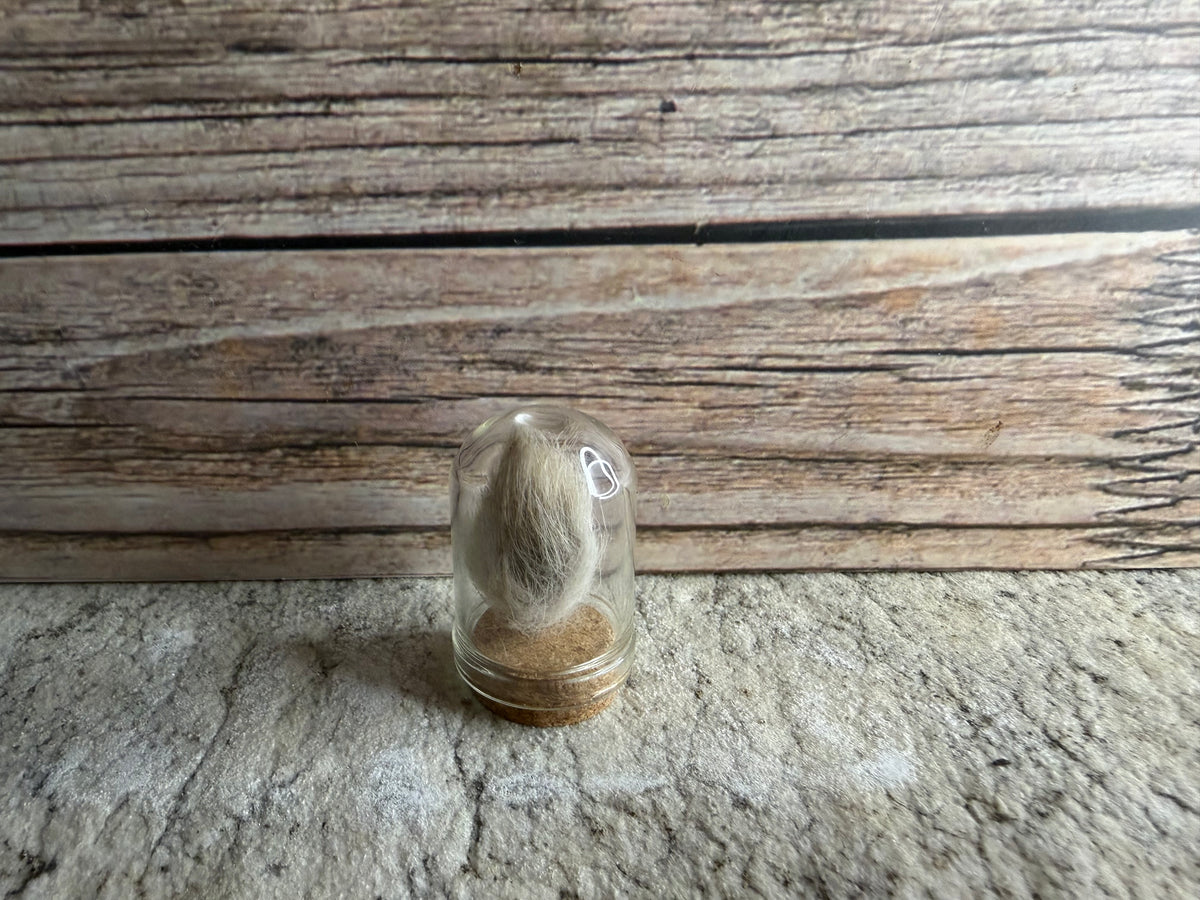 Dry Preserved Baby Rabbit Tail
