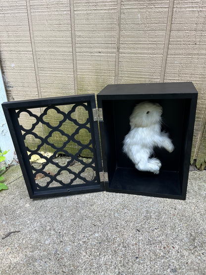 Reliquary Style Mummified Angora Bunny Display