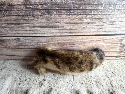 Bobcat Tail Keychain