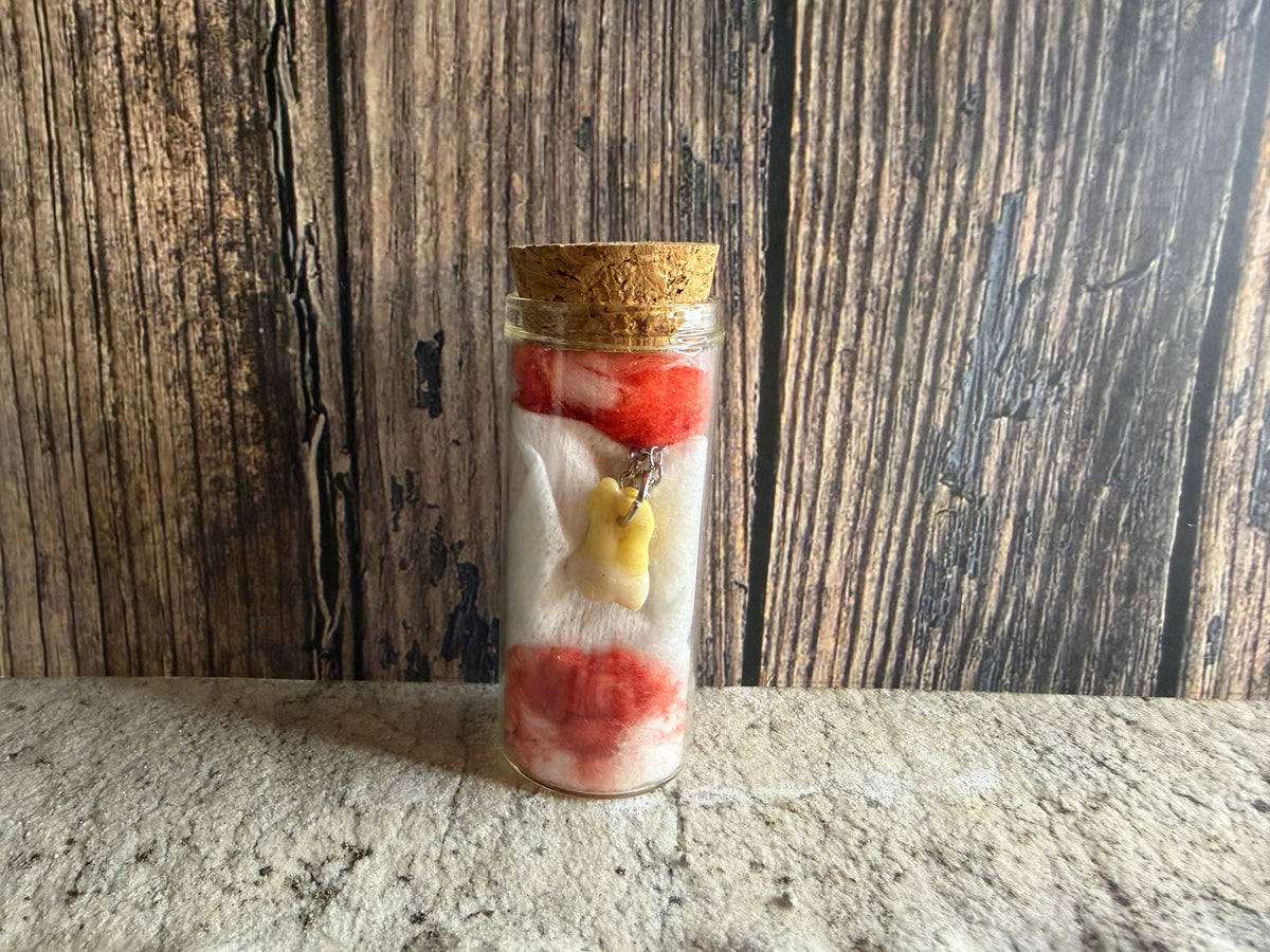Human Tooth Necklace