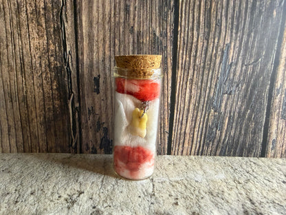Human Tooth Necklace