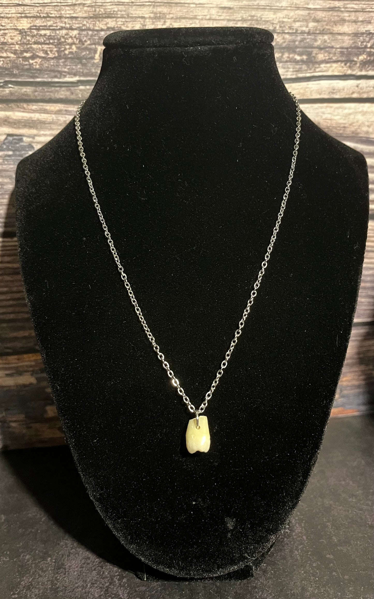 Deciduous Human Tooth Necklace (Baby Tooth)