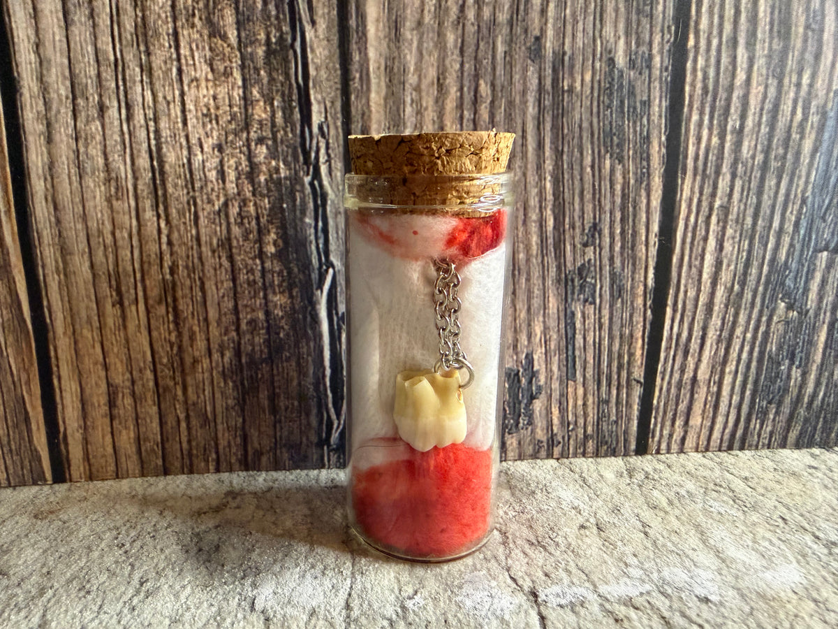 Human Tooth Necklace