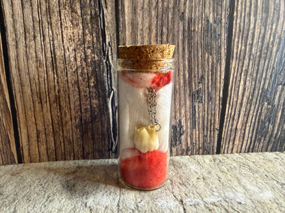 Human Tooth Necklace