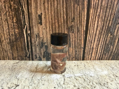 Pinky Mouse Wet Specimen Vial