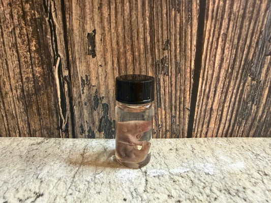 Pinky Mouse Wet Specimen Vial