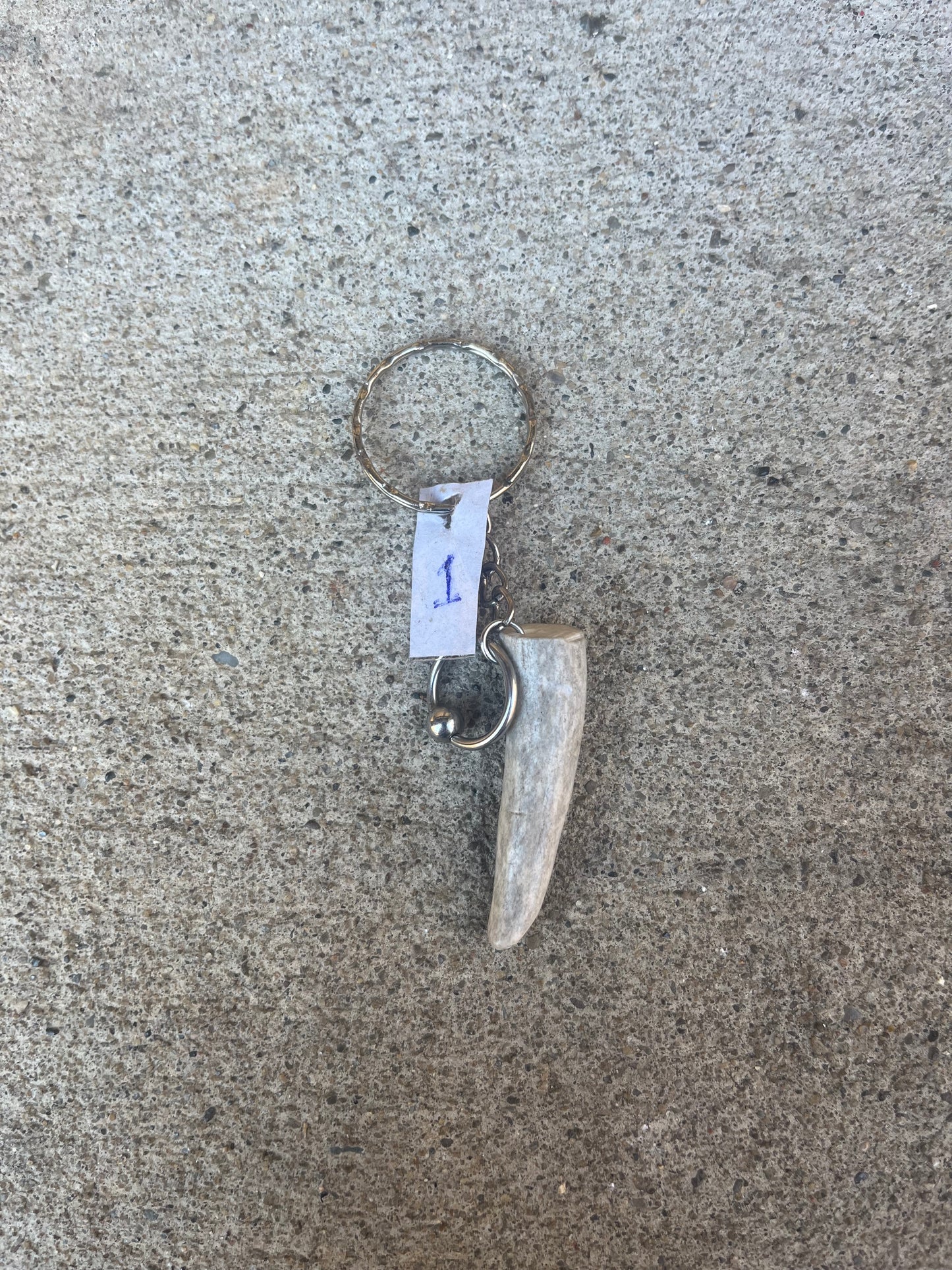 Deer Antler Keychain (14G CBR)