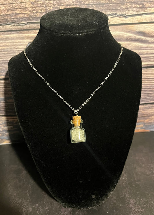 Snake Shed Vial Necklace (Reg)