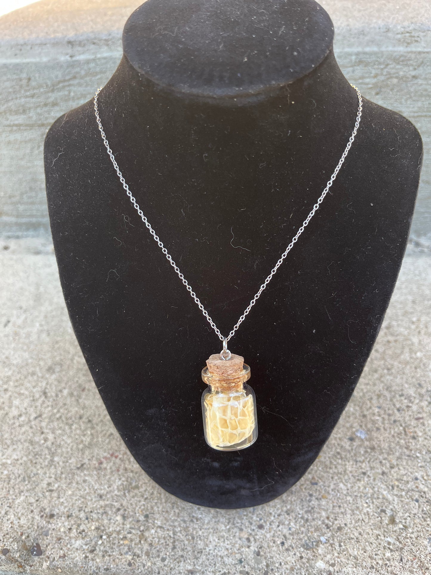 Snake Shed Vial Necklace