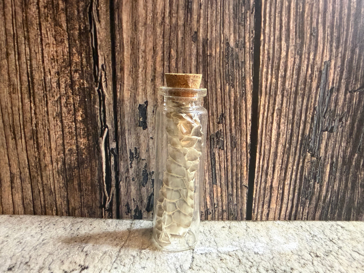 Snake Shed Curio Vial (Cork)