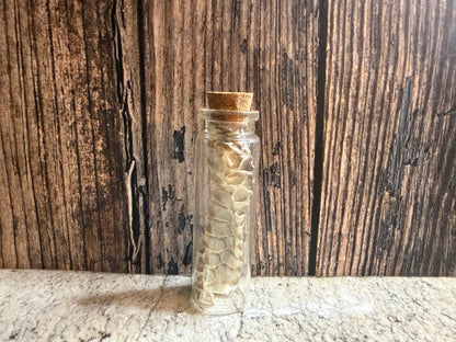 Snake Shed Curio Vial (Cork)