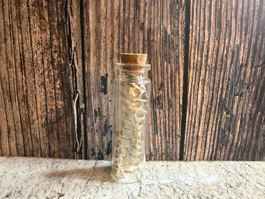 Snake Shed Curio Vial (Cork)