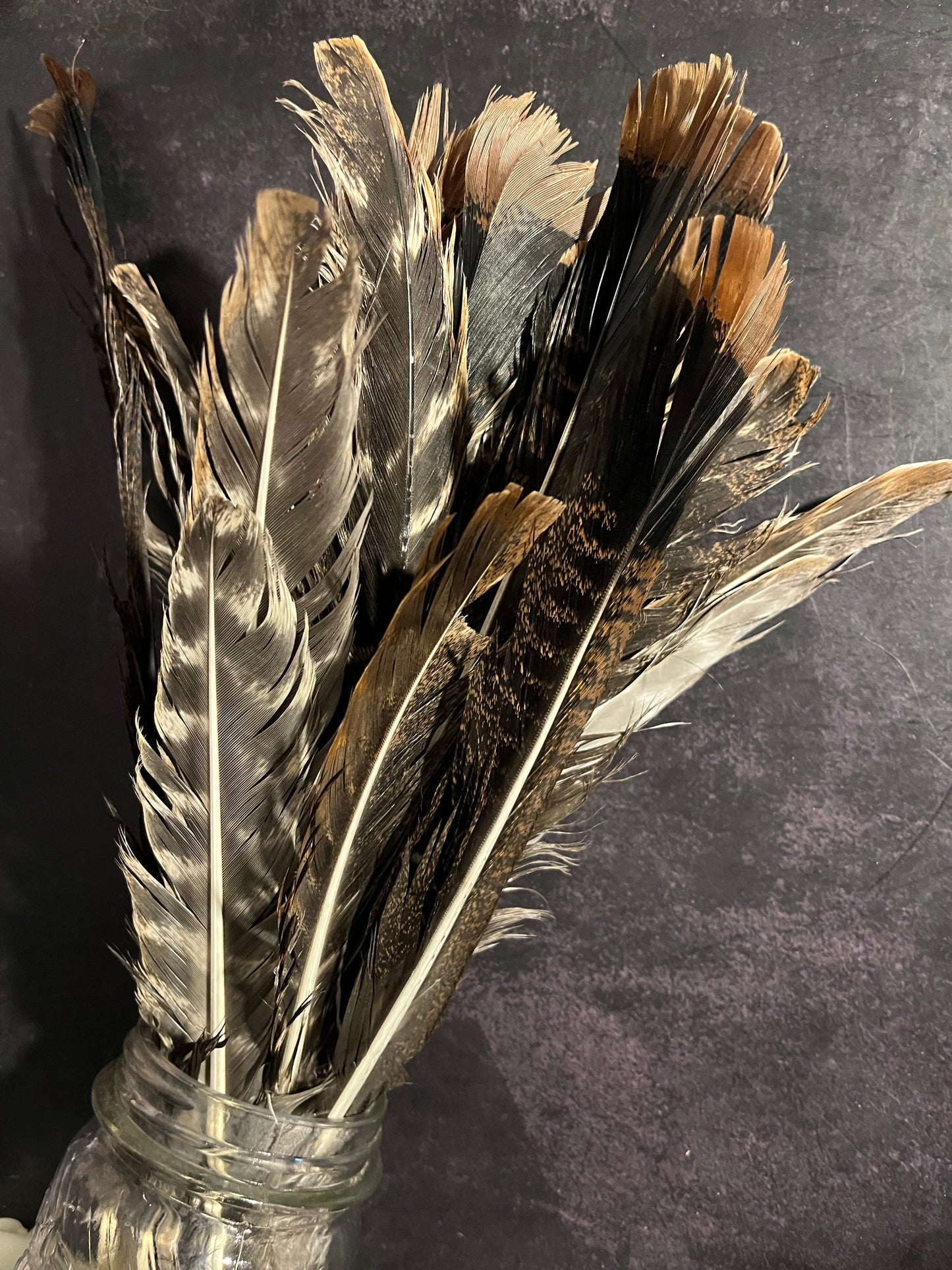 Craft Grade Wild Turkey Feather