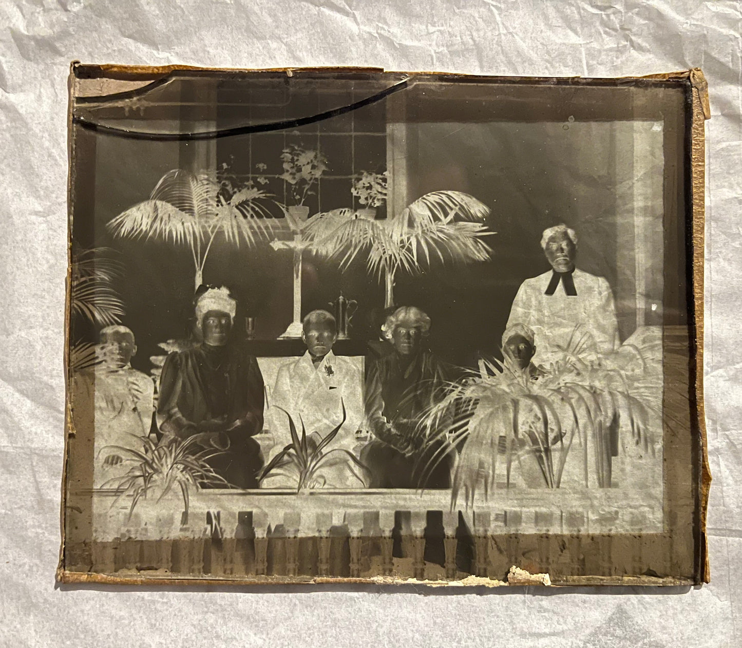 Antique Glass Negative Photo Family (#1)