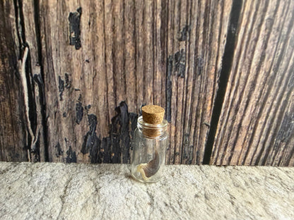 Raccoon Claw Curio Vial (Cork)