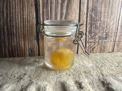 Western Diamondback Rattlesnake Egg Specimen