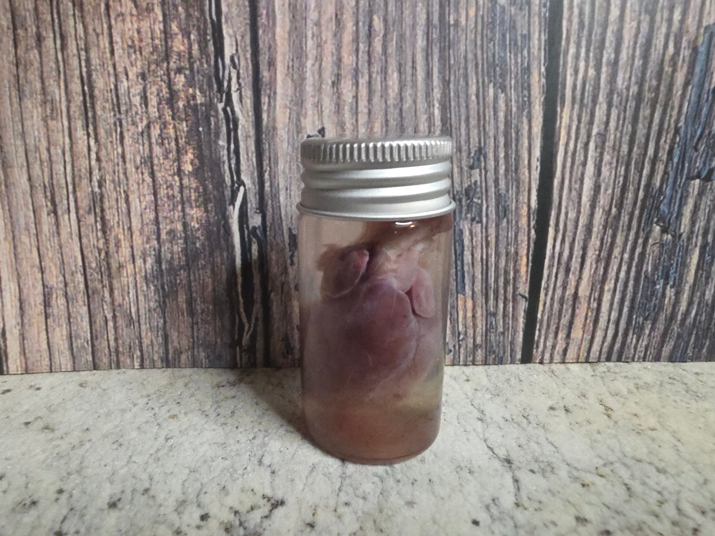 Imperfect Virginia Opossum Heart Wet Specimen (#3)