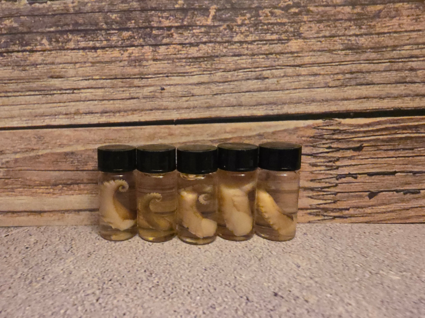 Tiny Octopus Tentacle Curio Vial