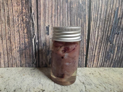 Imperfect Virginia Opossum Heart Wet Specimen (#1)