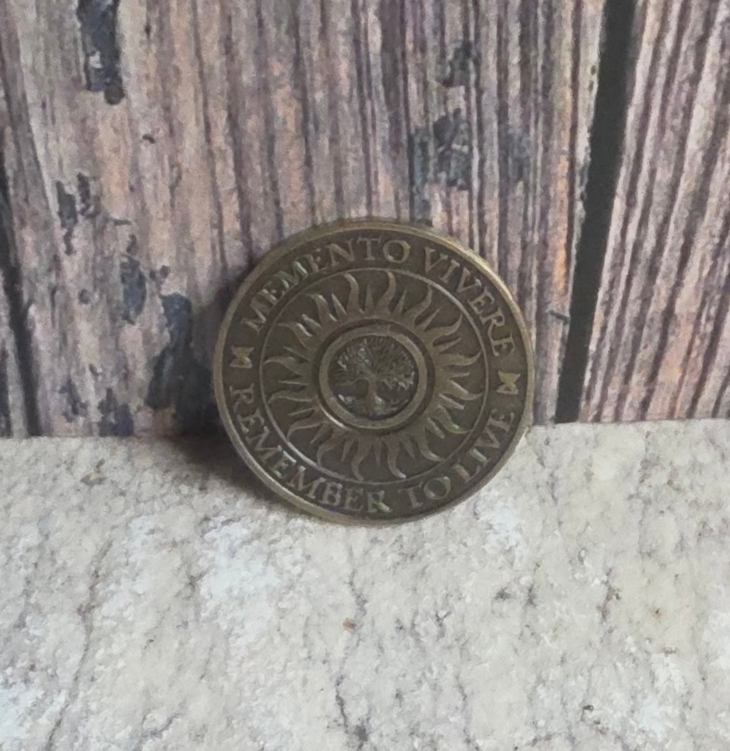 ‘Memento Mori’ Ferryman Hobo Coin