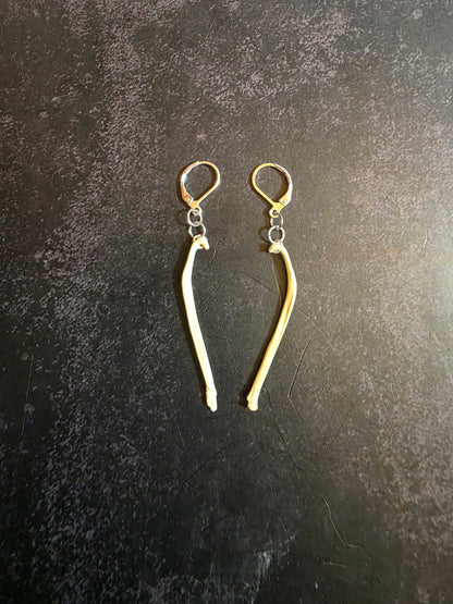 Mink Baculum Earrings