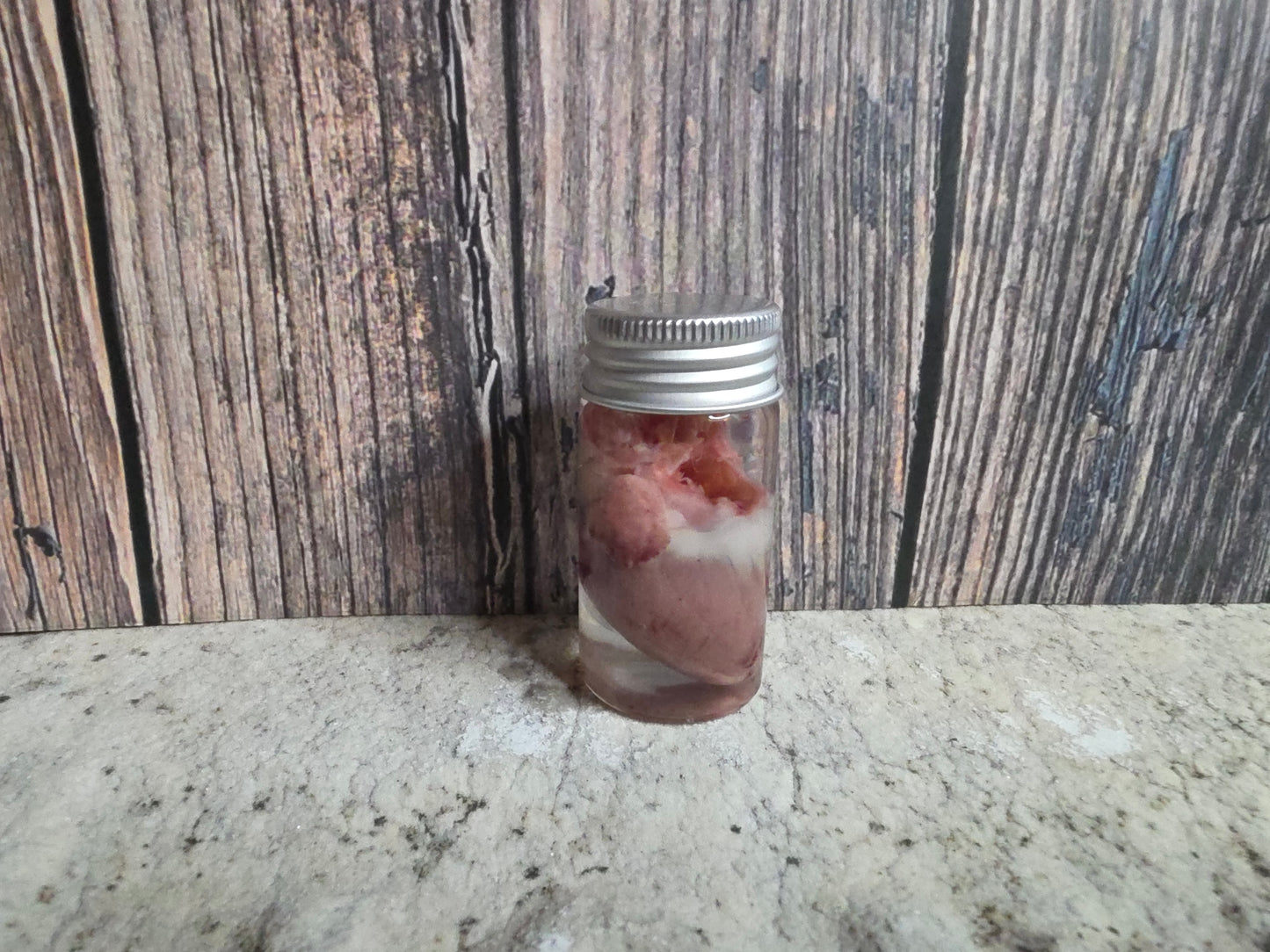 Imperfect Domestic Cat Heart Wet Specimen