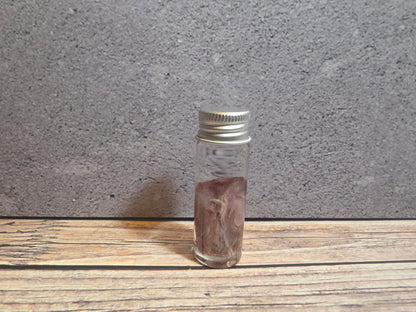 Tuxedo Kitten Tongue Wet Specimen