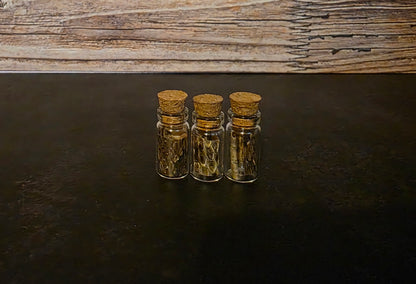 Prairie Rattlesnake Skin Curio Vial
