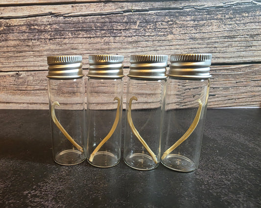 Imperfect Mink Baculum Curio Vial