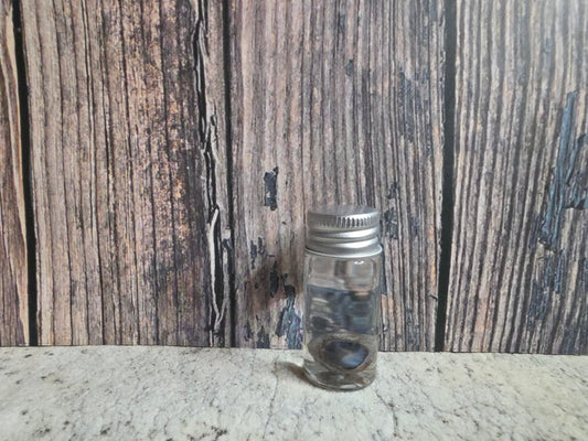 Squirrel Eyeball Wet Specimen