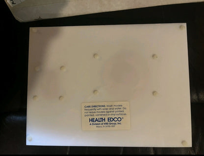 Vintage Health Edco Self Examination Breast Testicular Cancers Tumors Waco Texas