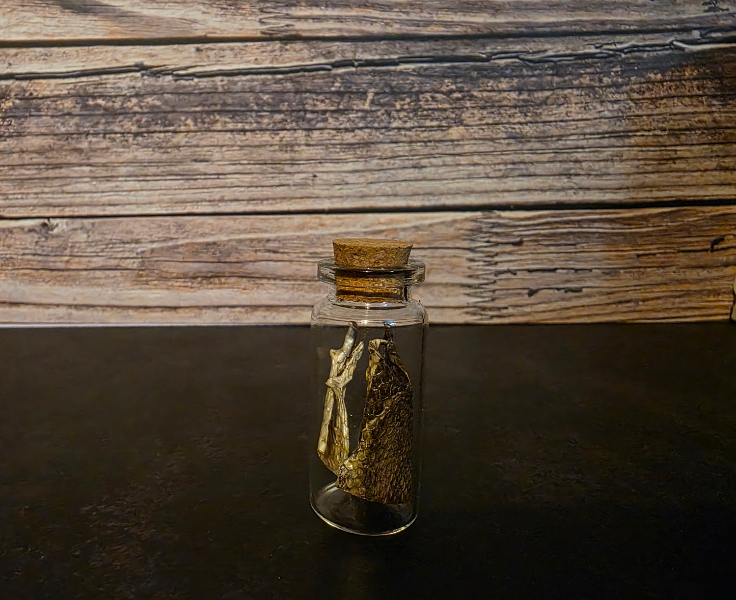 Prairie Rattlesnake Head Skin Curio Vial (Sm.)