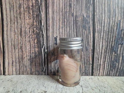 Imperfect Wild Rabbit Testicle Wet Specimen