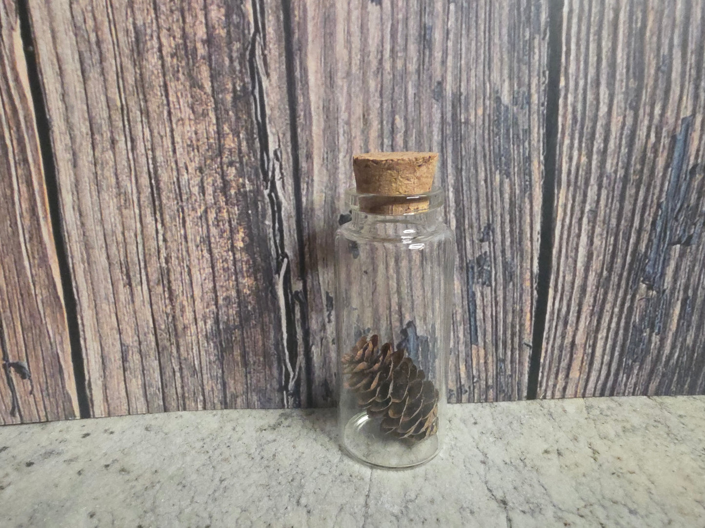 'Spirit of the Forest' Pinecone Curio Vial