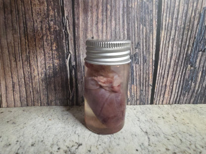 Imperfect Virginia Opossum Heart Wet Specimen (#3)