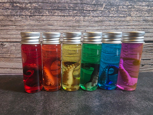 Octopus Tentacle Wet Specimen (Colors)