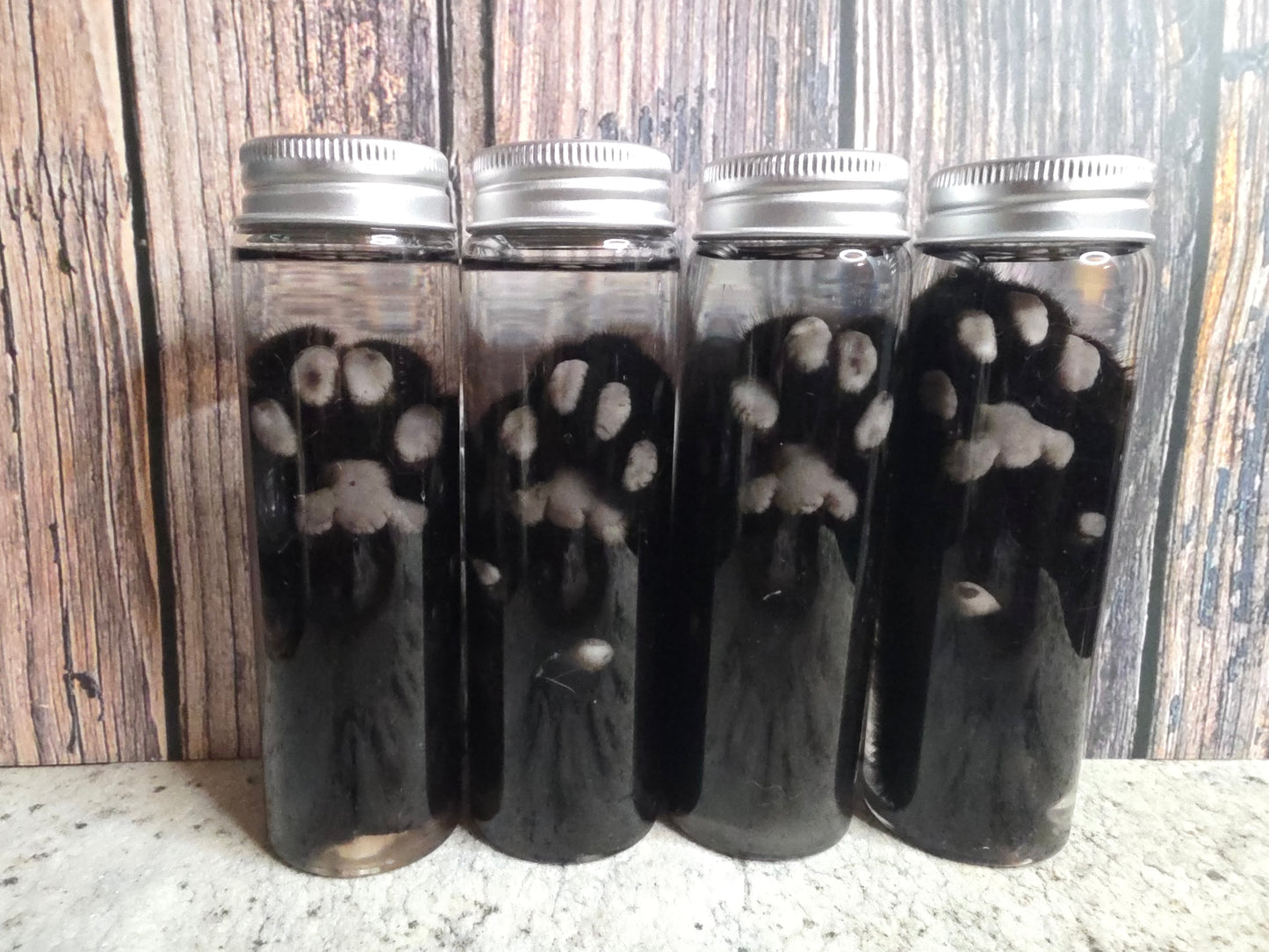 Black Cat Paw Wet Specimen