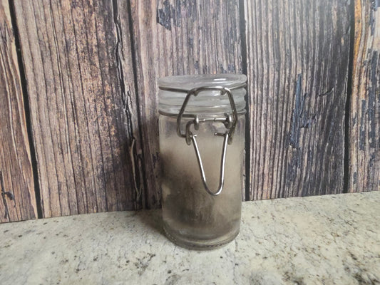 Domestic Siamese Cat 'Family Jewels' Penis & Testicles Wet Specimen