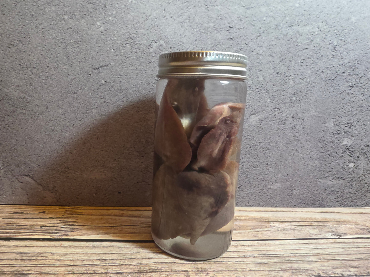 'Biblical Angel' Cat Heart And Lungs Wet Specimen