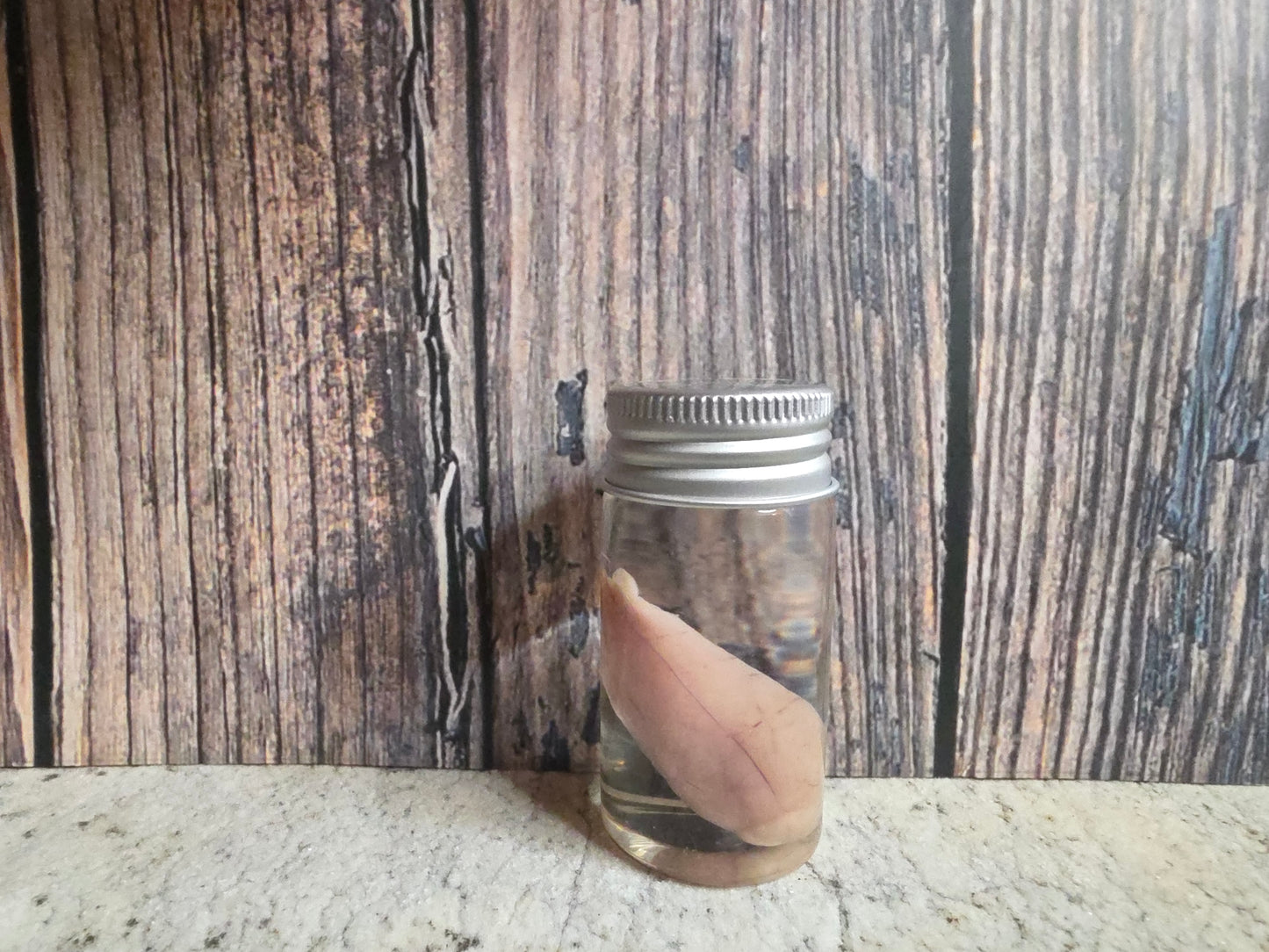 Imperfect Wild Rabbit Testicle Wet Specimen