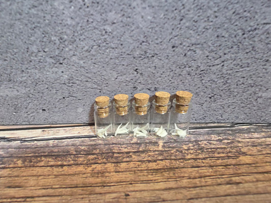 Possum Teeth Curio Vial